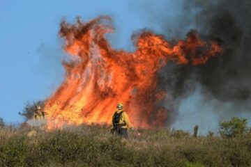 Leggi: «Incendi boschivi: dal 1 luglio attiva…»